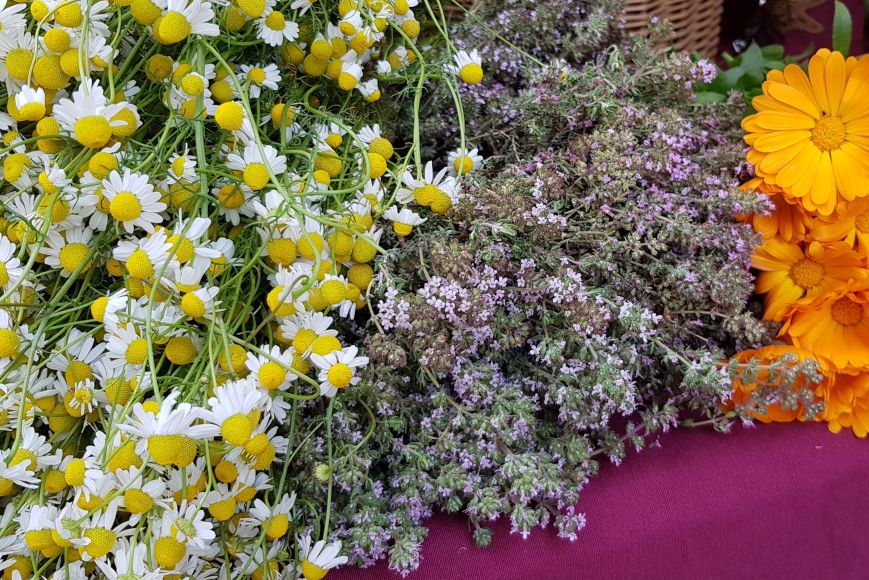 Feria de las hierbas de Peratallada