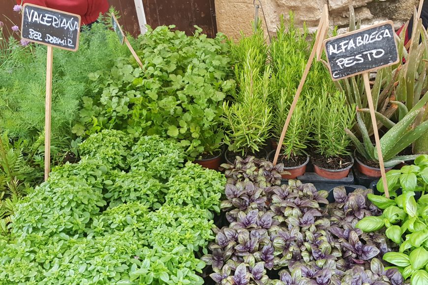Fête de Herbes de Peratallada Fête de Herbes de Peratallada