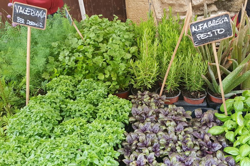 Peratallada herbs fair