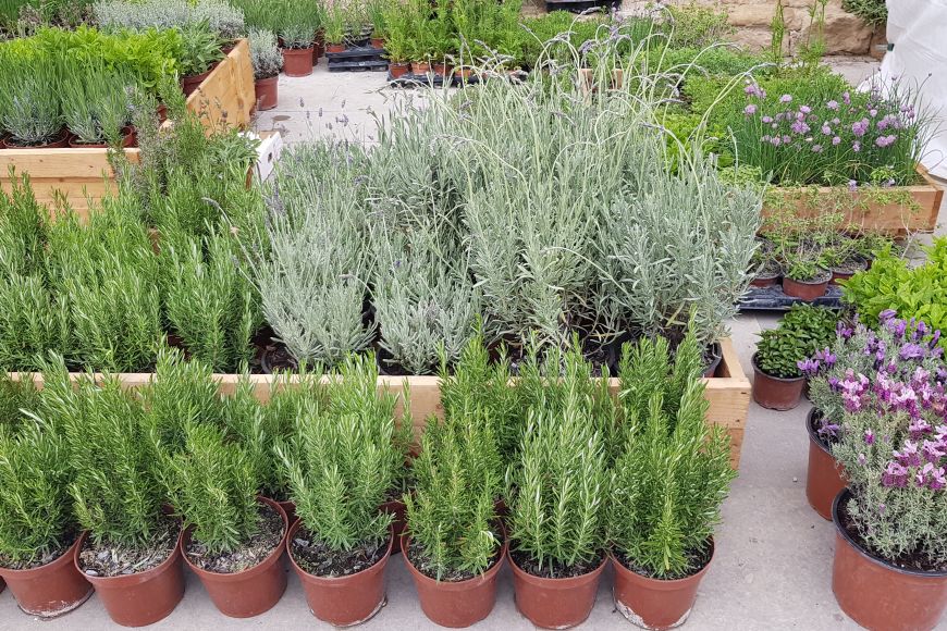 Fête de Herbes de Peratallada Fête de Herbes de Peratallada
