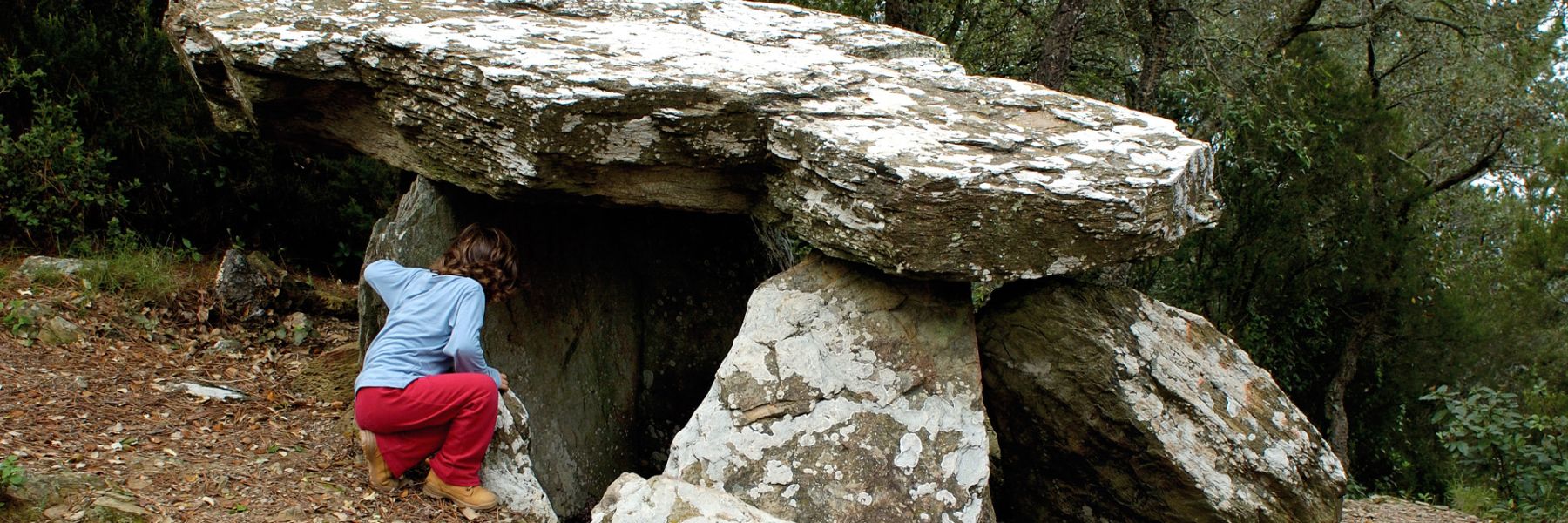 Les dolmens de Forallac
