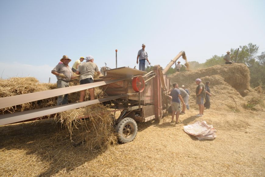 Festa del segar i el batre