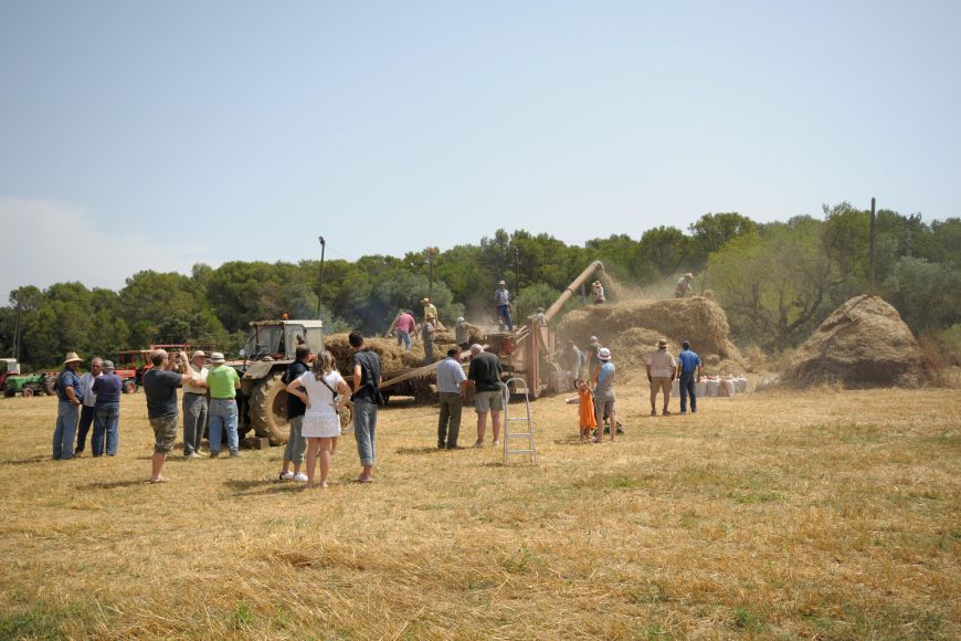 Festa del segar i el batre