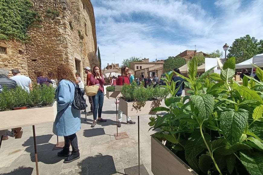 Activitats fira de les herbes de Peratallada