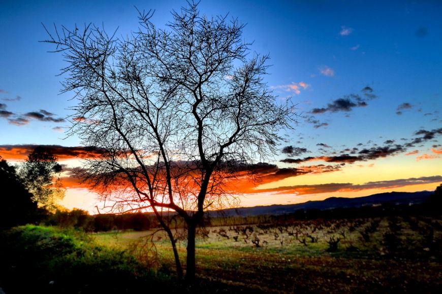 Paisatge Fonteta