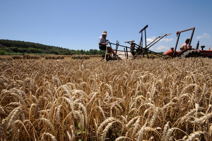 Segar i batre Sant Climent de Peralta Segar i batre Sant Climent de Peralta